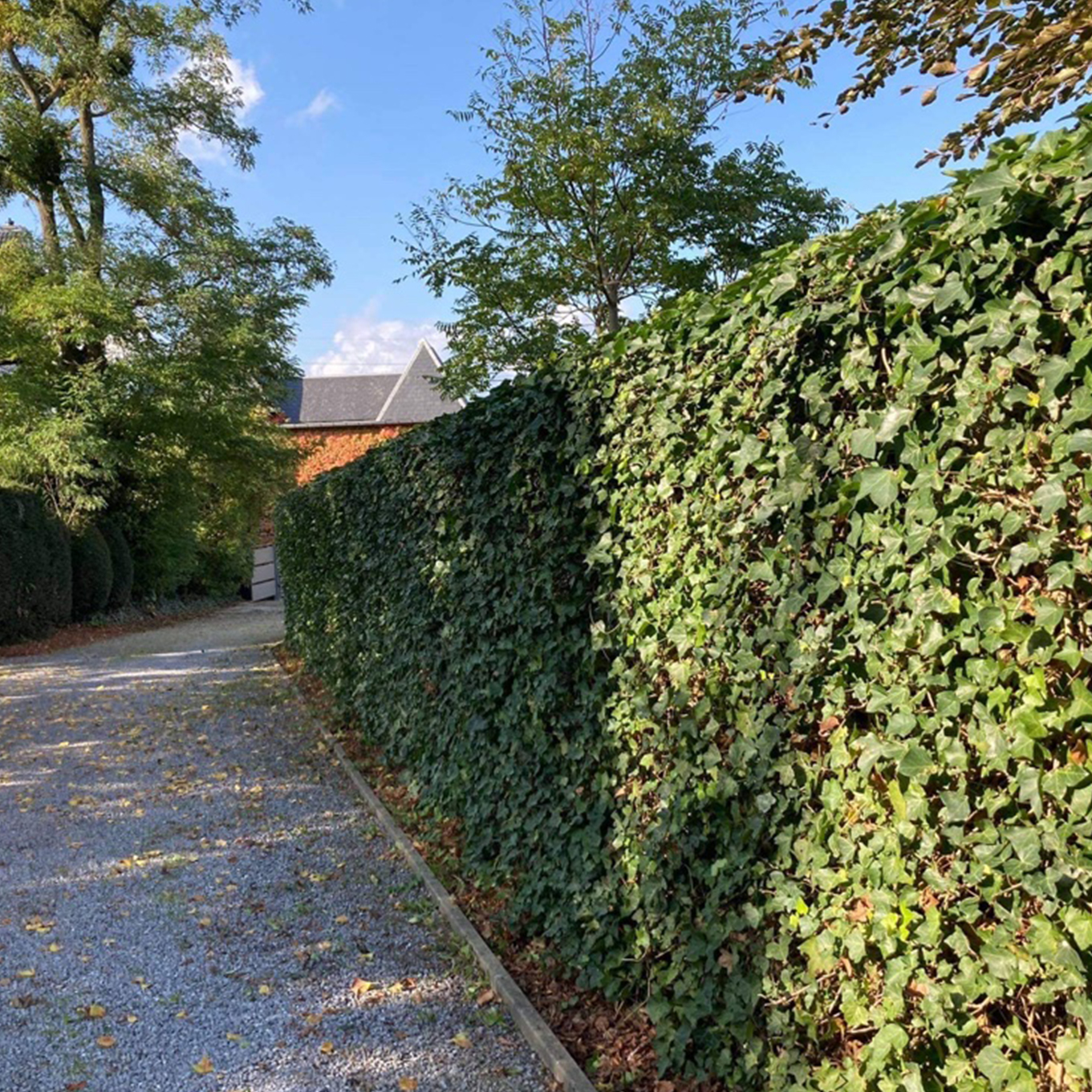 entretiens jardins