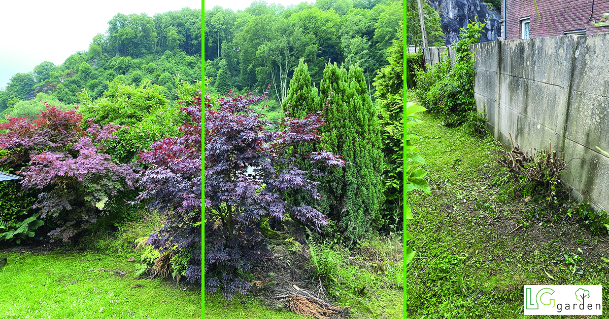 entretiens jardins